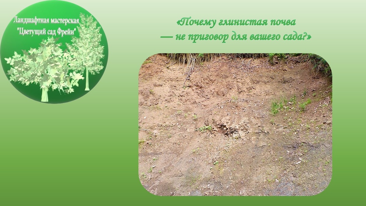 Фото автора с использованием изображения по Лицензии CC0.