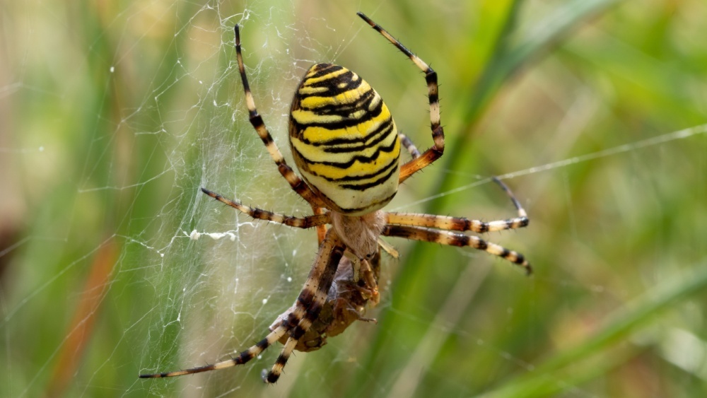     Фото: Andy Jenner/Shutterstock/FOTODOM