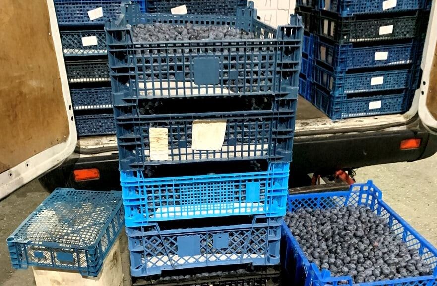    Фото: 32.fsvps.gov.ru Елена Воронцова