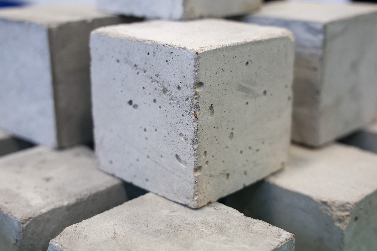 Фото: Егор Алеев/ТАСС