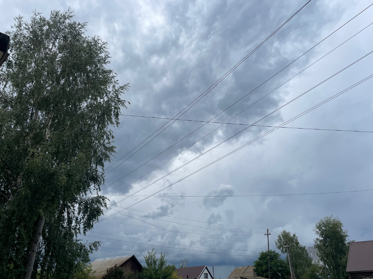 Личное фото автора канала