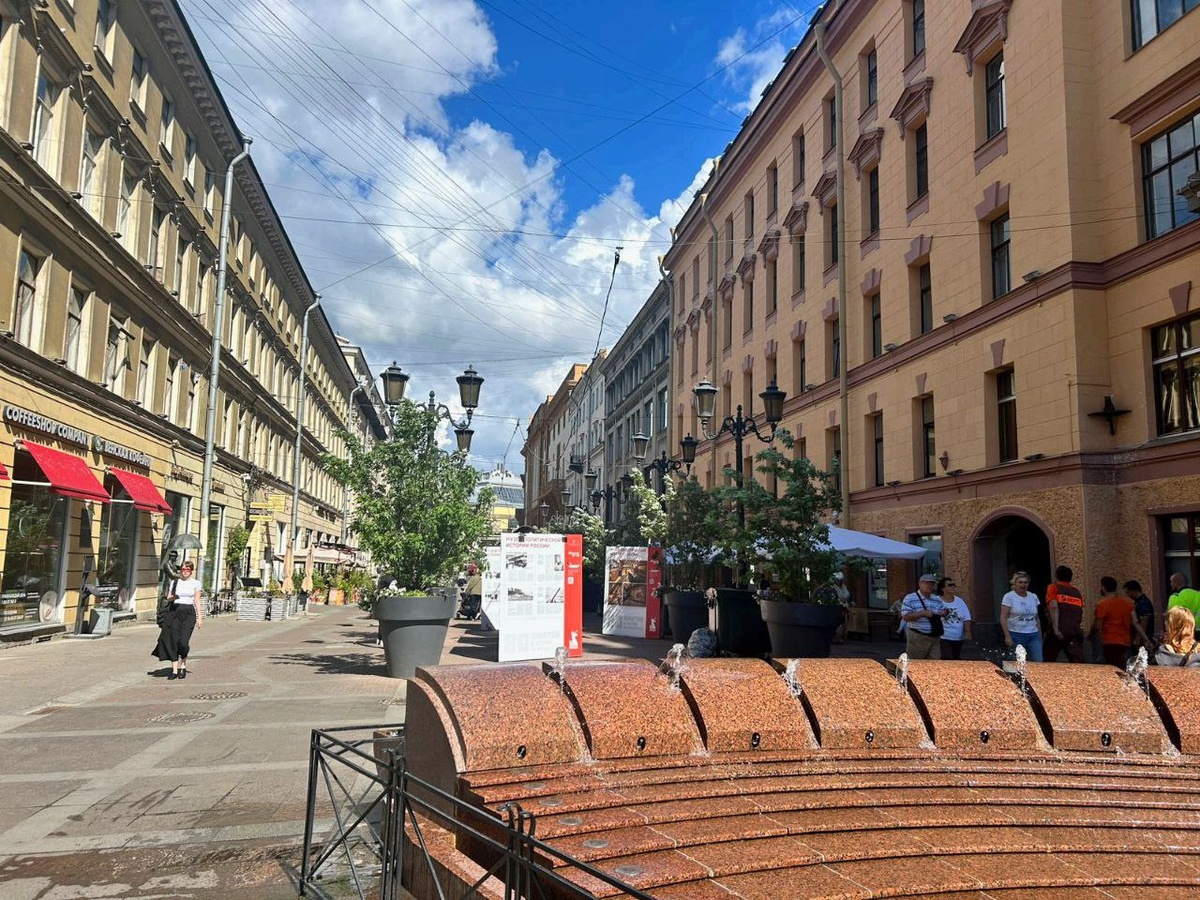 Пешеходная Малая Садовая улица в городе Санкт-Петербурге.
