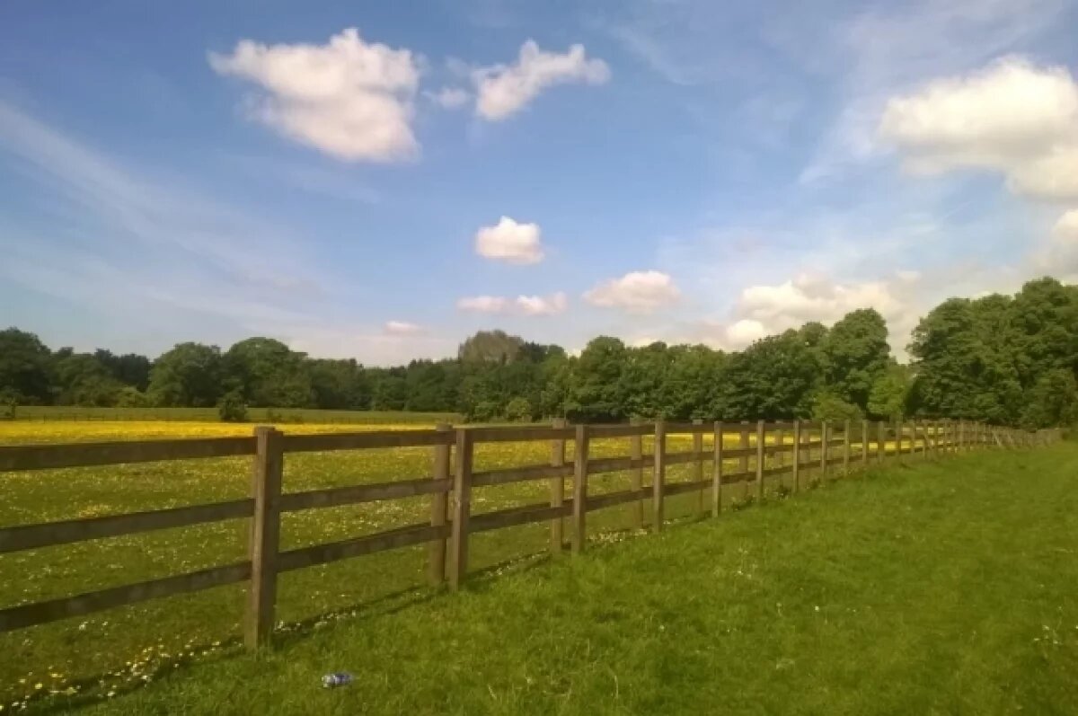    В Ульяновской области упростили процесс предоставления земли участникам СВО