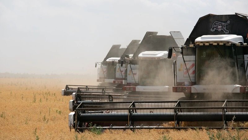      Фото: Валерия Алтухова / / ИА «Победа26»