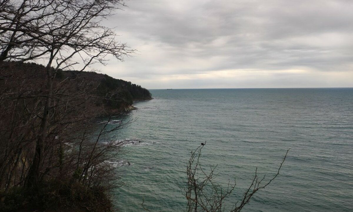    Фото Юрия Степанова, «Кубань 24»