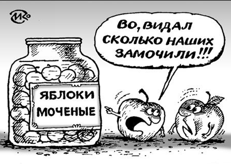 художник К. Мальцев
