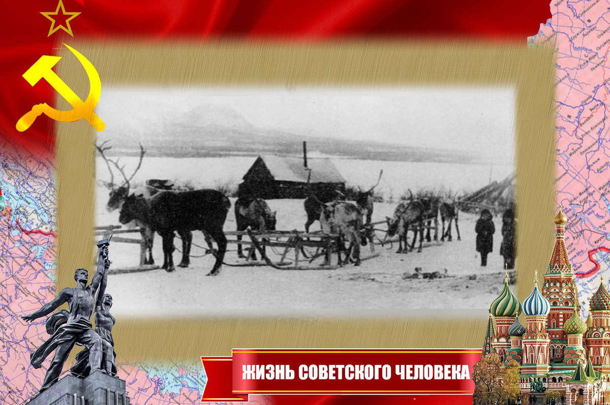 Упряжки готовы к загрузке