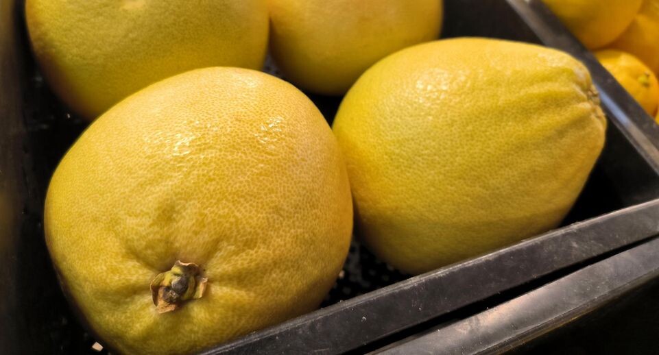    Maksim Konstantinov/Global Look Press / www.globallookpress.com