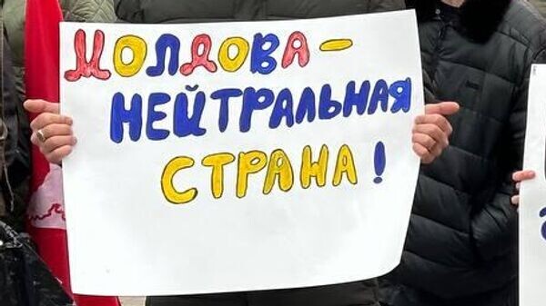    © Sputnik / Дмитрий Терехов