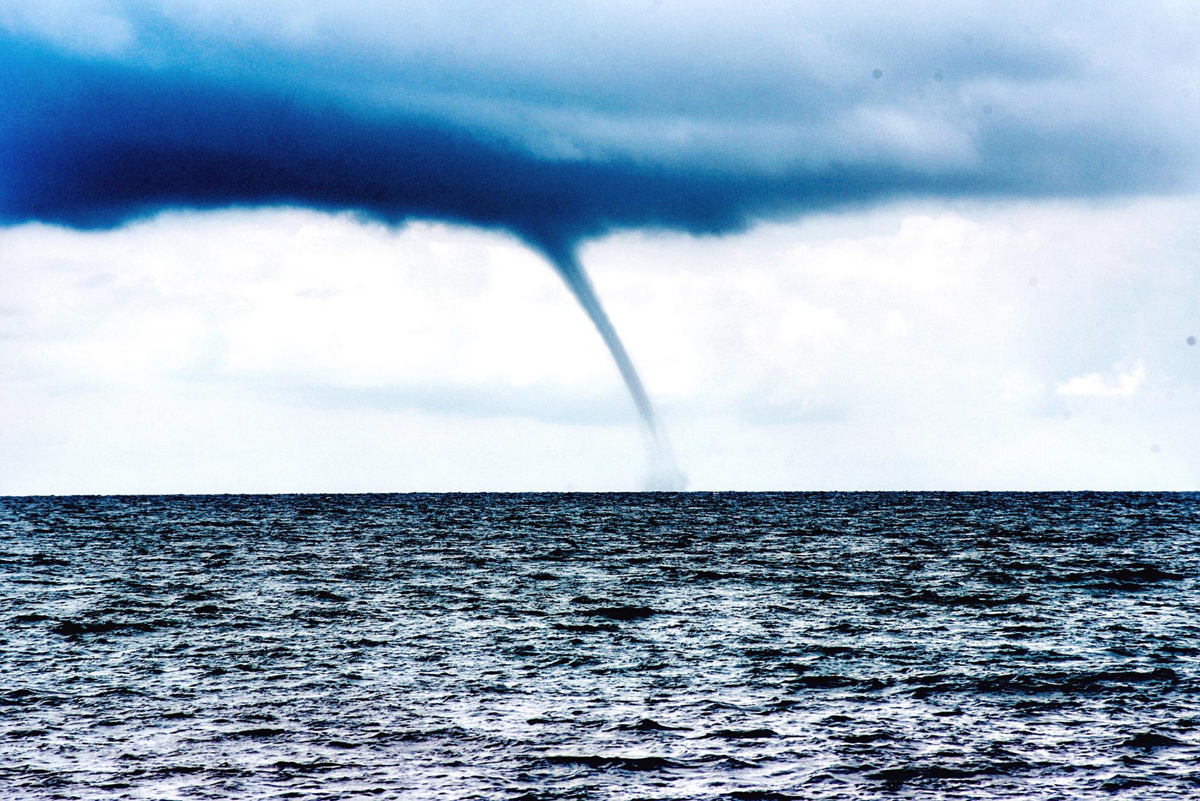 Фото: freepik.com  📷
