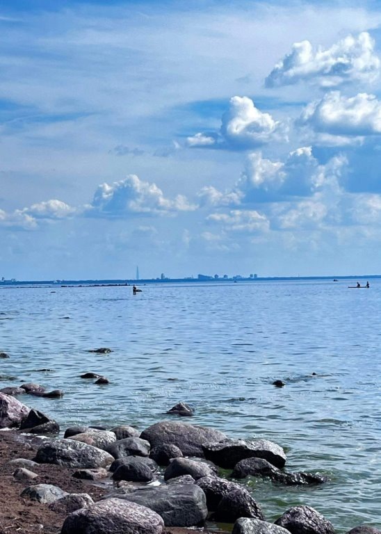 Фото: Ирина Чистова. Источник: Алла Кулик. https://vk.cc/cOJtDr