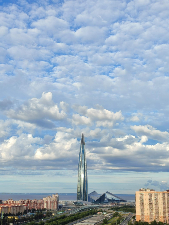 Фото: Галина Осипова. https://vk.cc/cOJupA