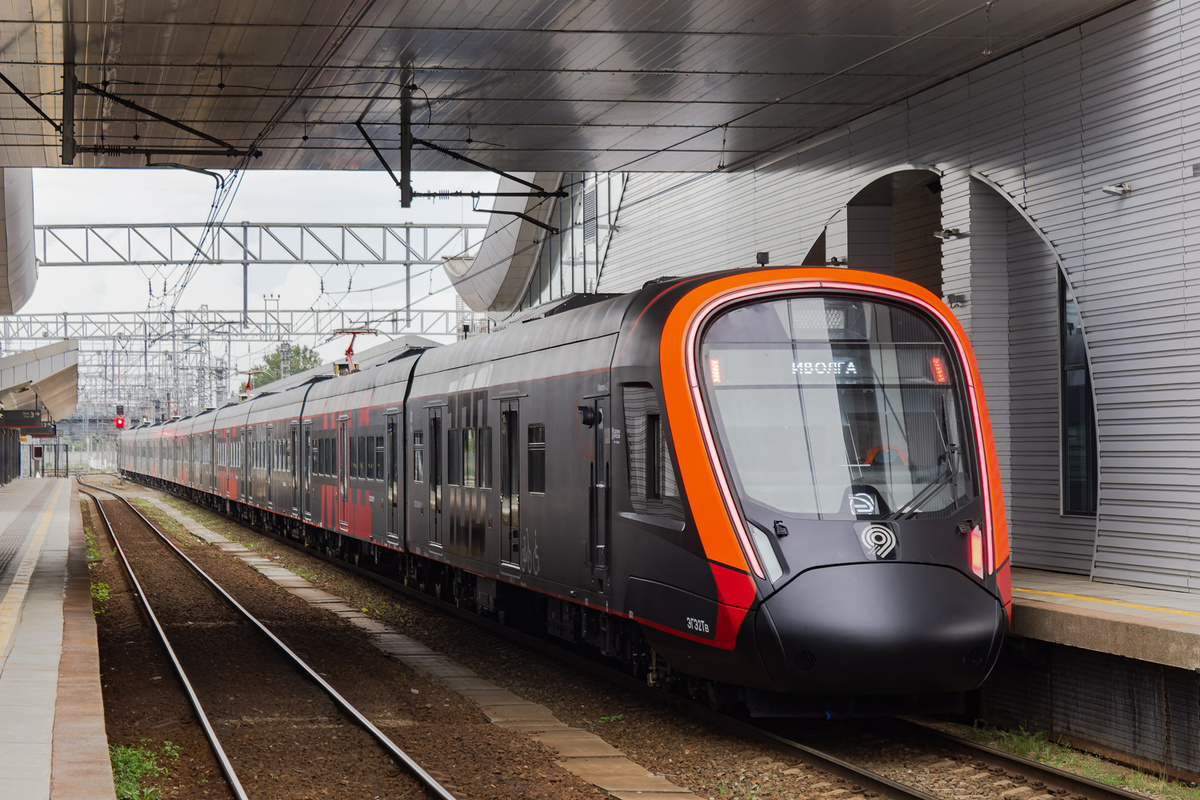 Чёрная мамба. Автор фото: J.Root