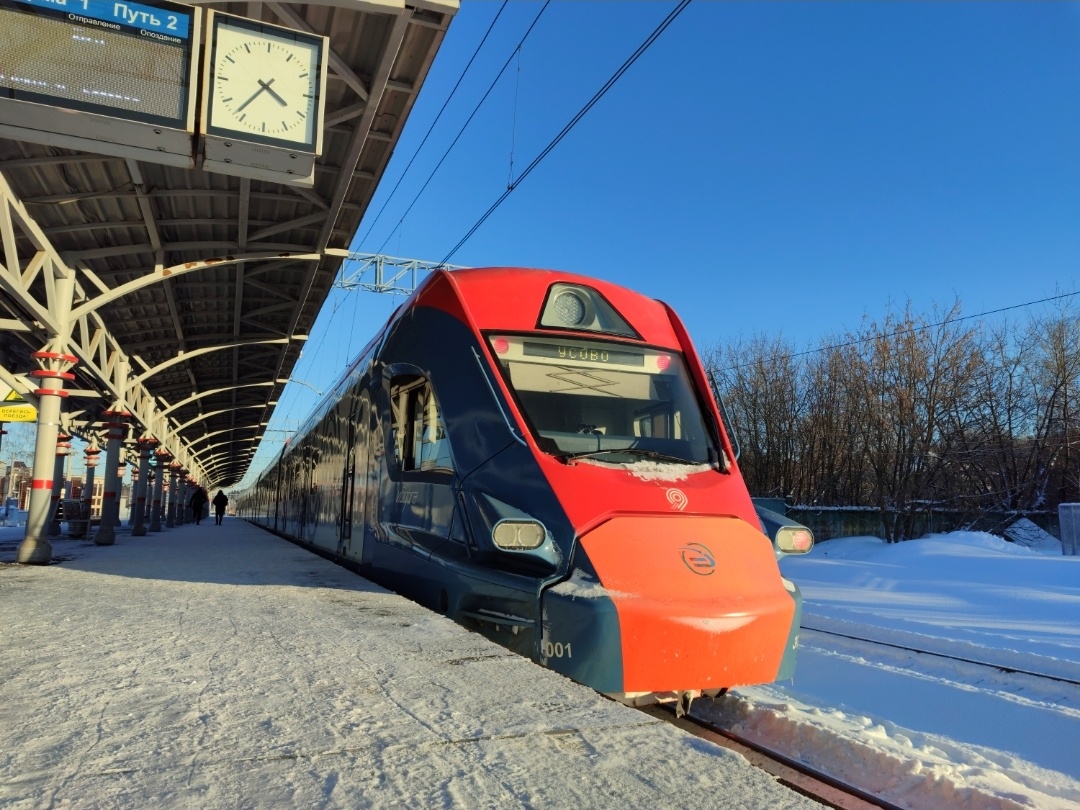 Утица на станции Усово, снято в январе 2024