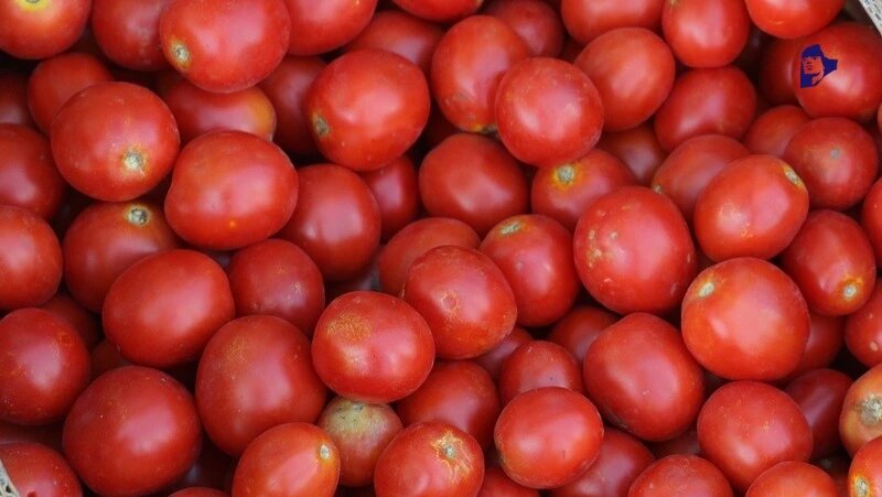      Фото: ИА «Победа26»