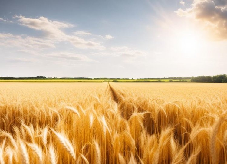    Фото: Медведева Анна, AgroXXI.ru