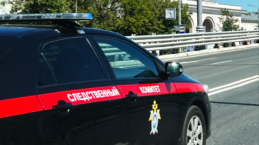    Фото: © РИА Новости/Наталья Селиверстова