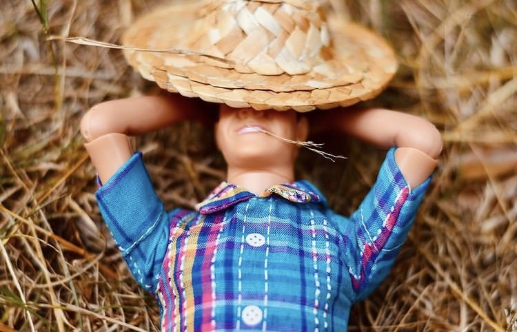 Значит лето еще продолжается и можно кайфануть на природе😎