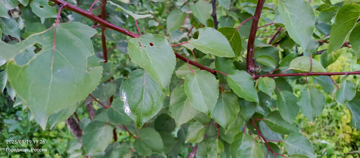 Визуальный осмотр