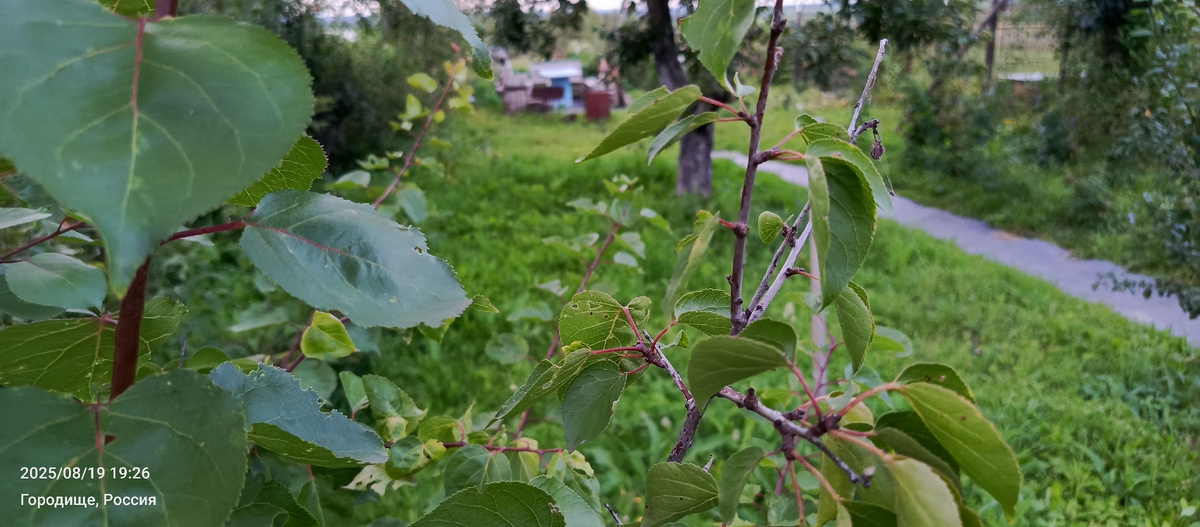 Будем вырезать сухой отвод