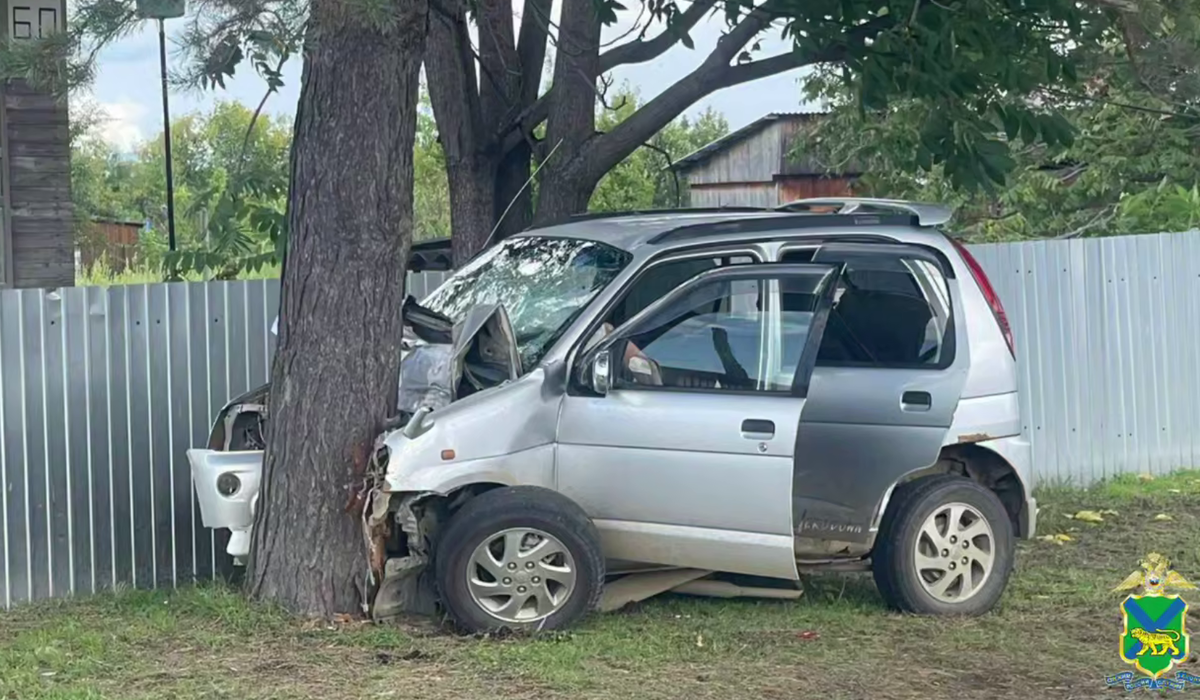     / Источник: © УМВД России по Приморскому краю