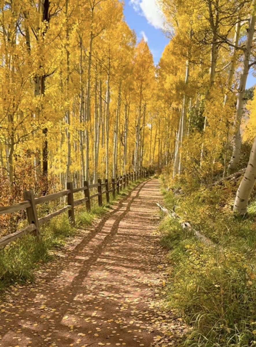 Картинка с Pinterest 