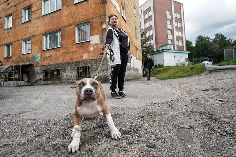    Фото: kommersant.ru Полина Белоусова