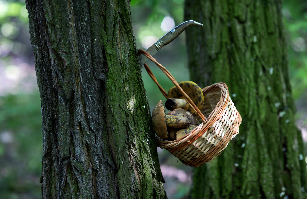 Фото: Nikolay Gyngazov/Global Look Press