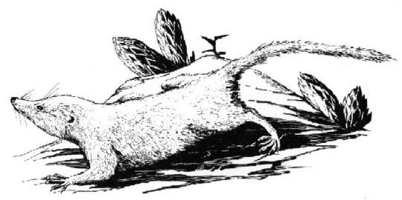 Галлаутерий.