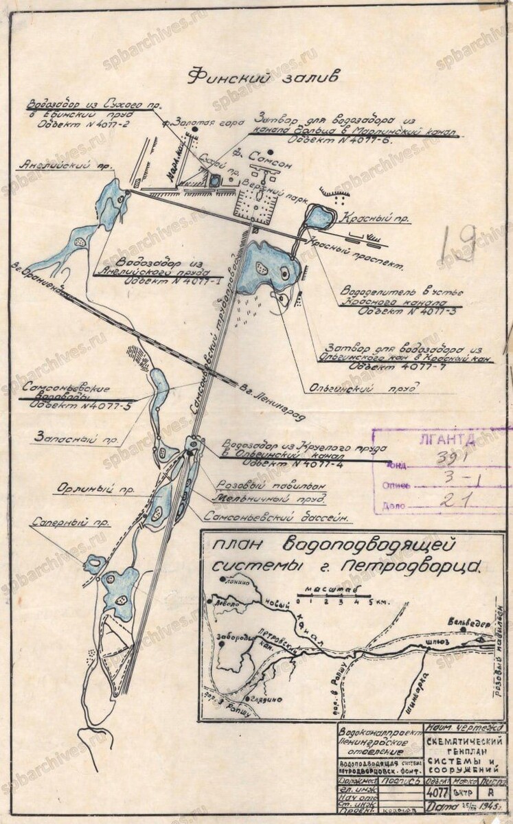 Фото: Дмитрий Ларионов/МТРК "Мир"