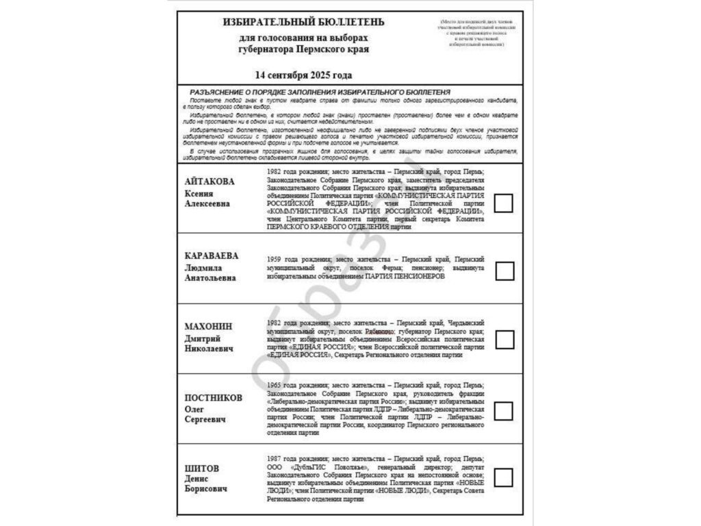    Фото: Избирательная комиссия Пермского края / ТГ Ольга Гилёва