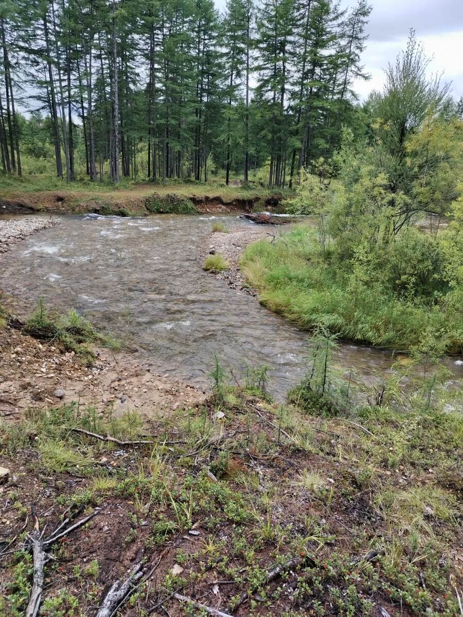 Здесь ещё лучше! Видно бурлящие горные потоки реки