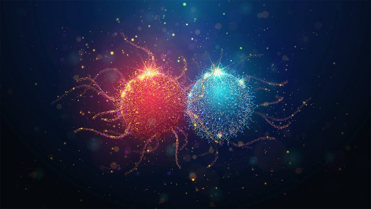    Фото: Shutterstock