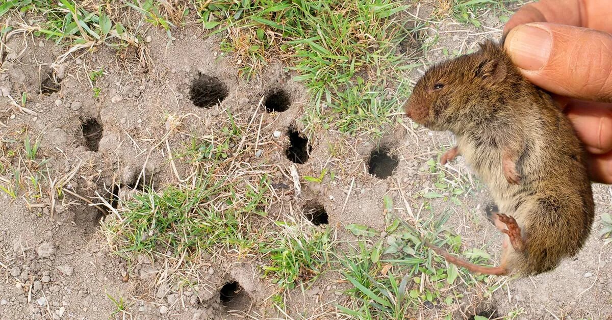 источник: takprosto