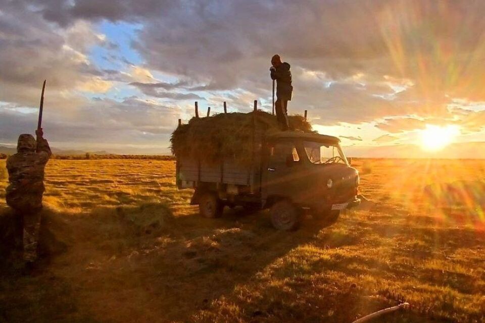    Завершение сенокоса в Кош-Агачском районе Республики Алтай. Источник: Эркин Тадыров / t.me/sailugem