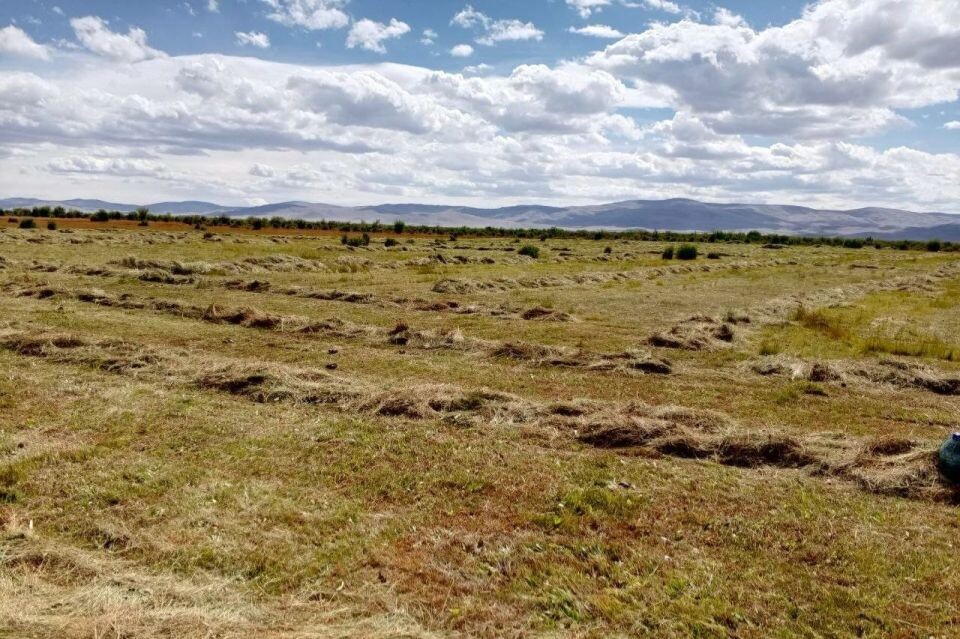    Завершение сенокоса в Кош-Агачском районе Республики Алтай . Источник: Эркин Тадыров / t.me/sailugem