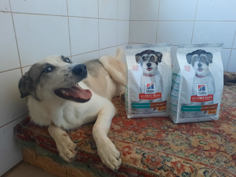 Ковры, пледы и матрасы помогают утеплять вольеры и будки, а также создают комфортные условия для животных в кошачьих домиках и карантинных блоках.
