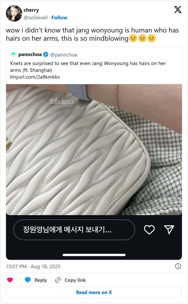    Пост: https://twitter.com/solileveil/status/1957429044720648232