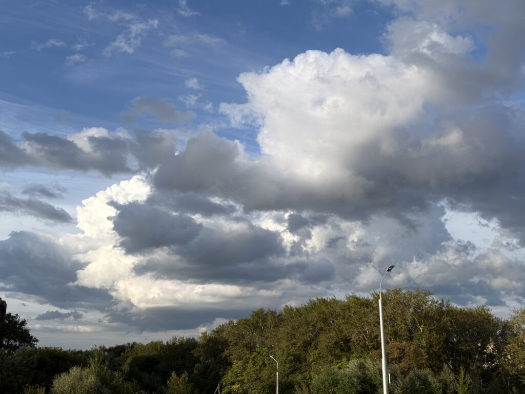    Фото: v-kurse.ru Ольга Гилёва