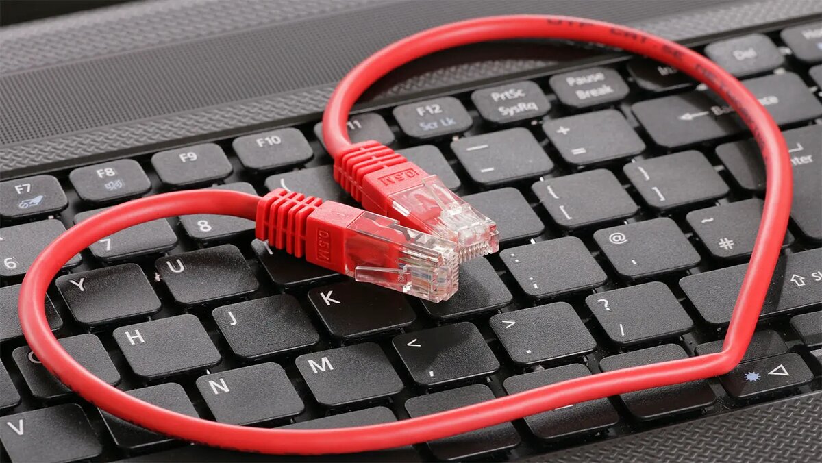    Фото: gazeta.ru Олеся Шмелева