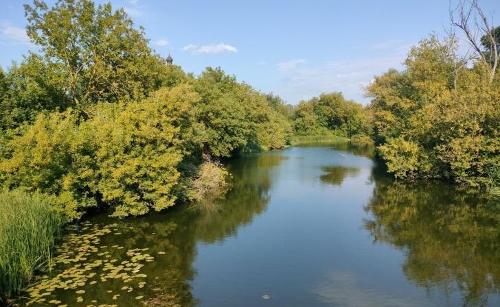    фото Курские известия