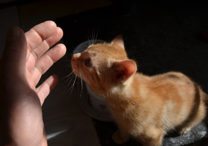 С осторожностью 