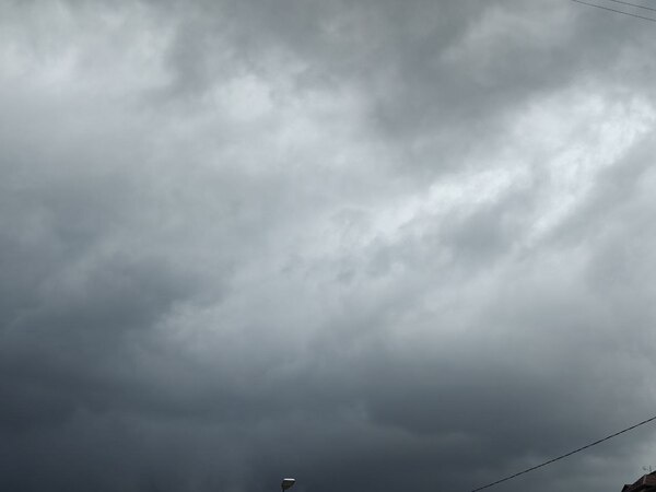    Фото: Юрий Серебренников/BFM Кубань