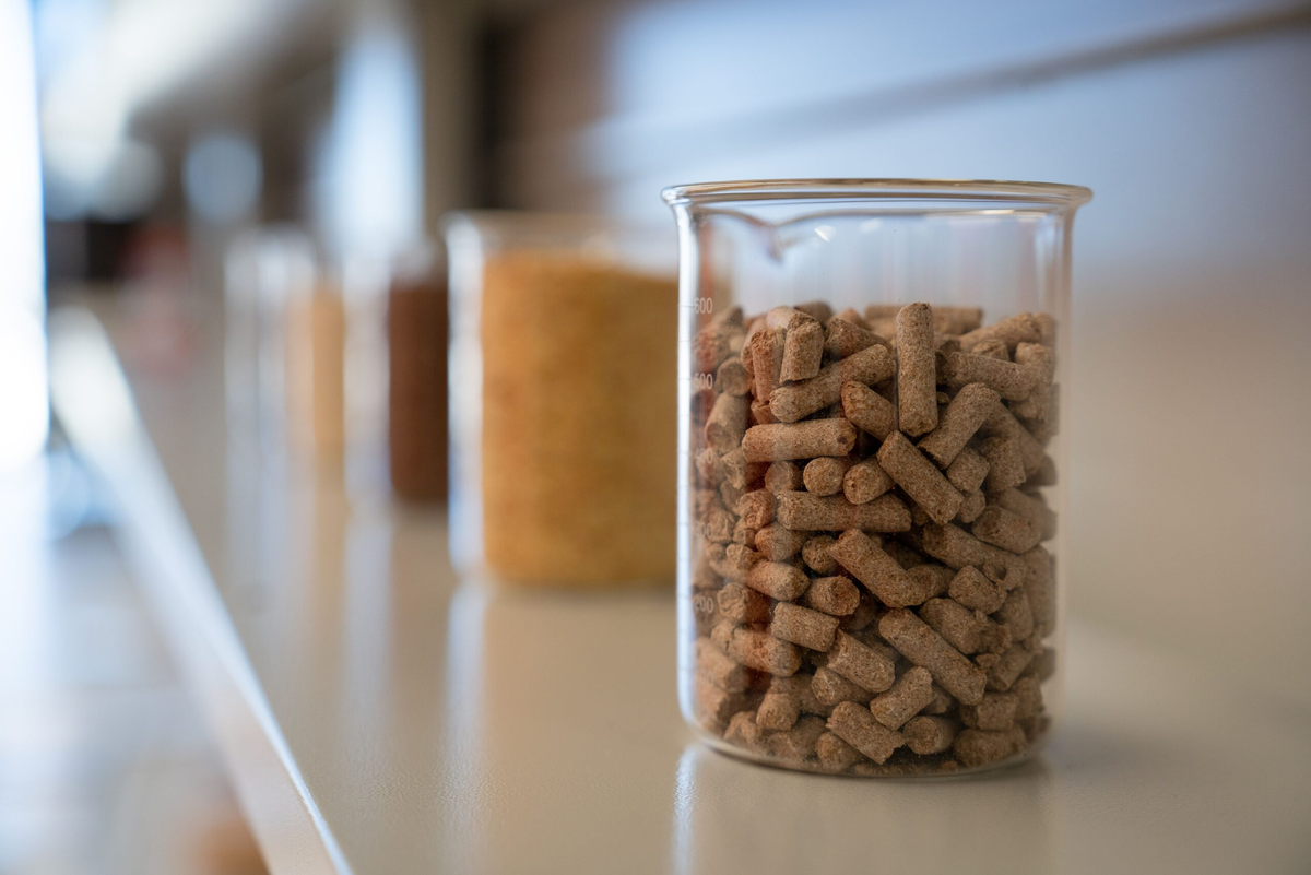 Фото: Александр Плонский / «ВиЖ»