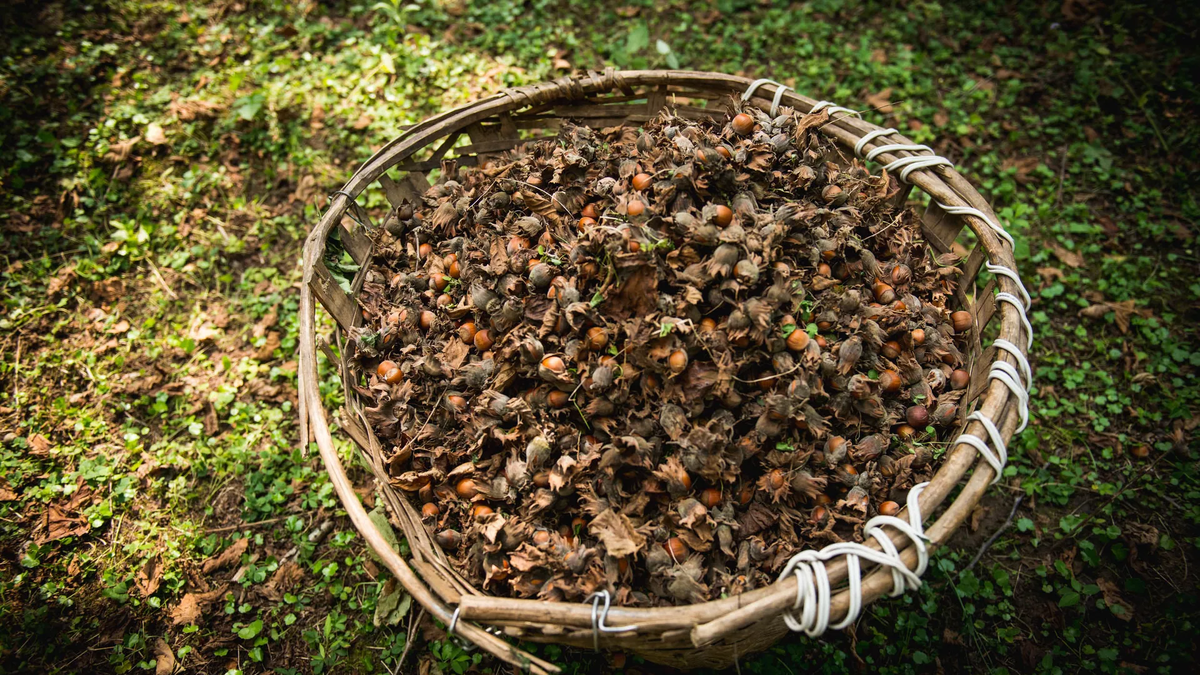 © photo: Sputnik / Stringer