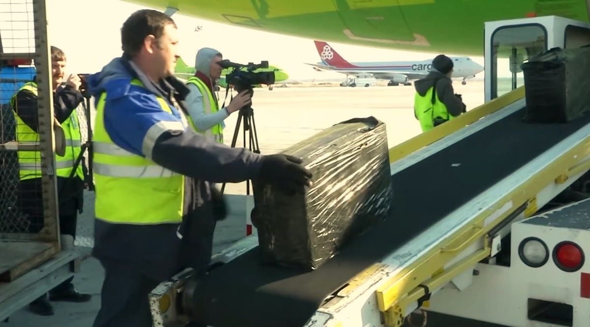 Таможенный контроль в Толмачево. Кадр теленовостей.