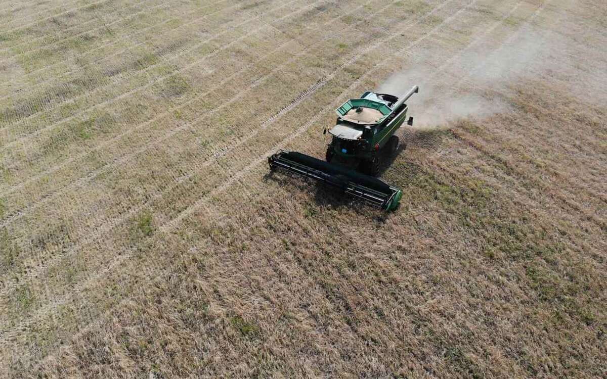    ГК «Агроэко» в 2025 году планирует увеличить земельный банк на 7% Фото: ГК «Агроэко»