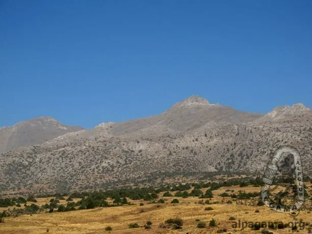 Фото с сайта https://yandex.ru/search/?text=%D0%B0%D0%B9%D1%80%D1%8B%D0%B1%D0%B0%D0%B1%D0%B0+%D0%B8%D0%BD%D1%82%D0%B5%D1%80%D0%B5%D1%81%D0%BD%D1%8B%D0%B5+%D1%84%D0%B0%D0%BA%D1%82%D1%8B&lr=121802&clid=2227913&win=678