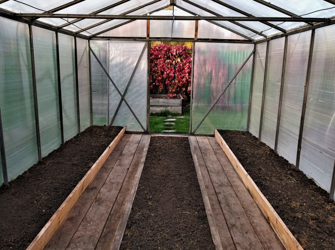 Но если дать ей правильное питание, она отдохнет, наберётся сил и отблагодарит вас невероятным урожаем