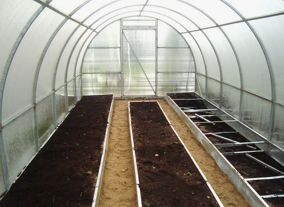 Они прекрасно улучшают структуру земли, делают её лёгкой и воздушной.